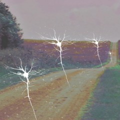 Traversée De Neurones Géants