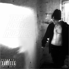 T.I.S.P