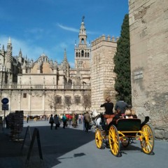 Reflejos De Sevilla