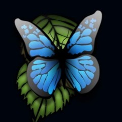 2004 Jimi is in da  House