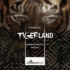 Lannka & Valeron - Bercana (Snippet)