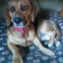 Valentune Remix - Dannø