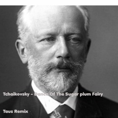 Tchaikovsky - Dance Of The Sugar Plum Fairy (Taos Remix)124BMP