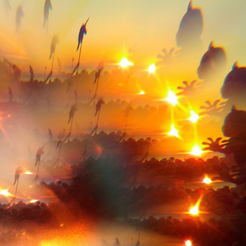 Murel Gold @ SCHRÖDINGERS KLOB VOL.I, Johann Keule