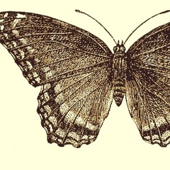 Lucy Werner - Limit to Your Love