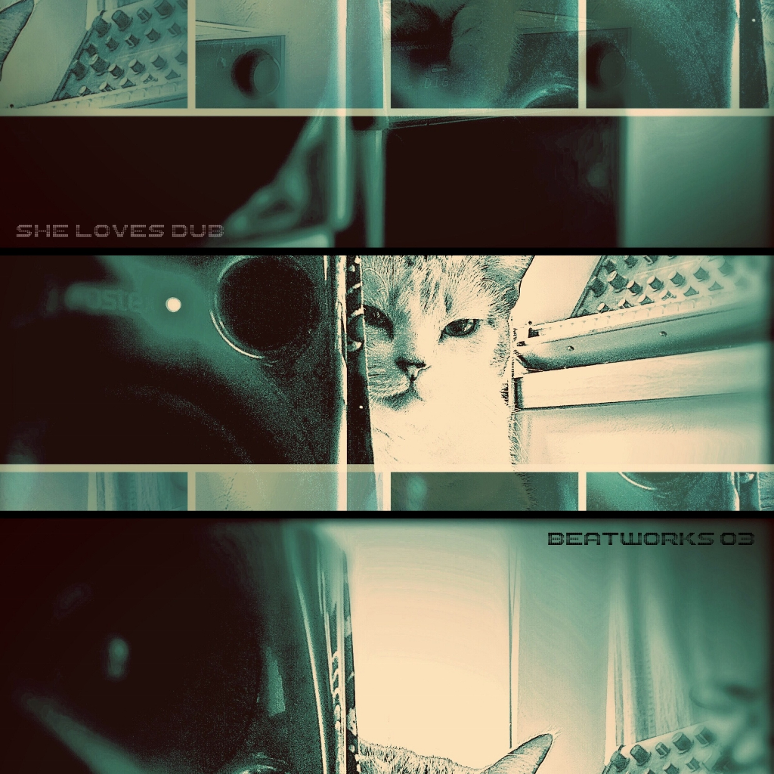 knoto - SHE LOVES DUB episode artwork