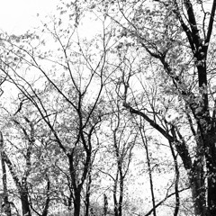 I Carry Your Heart (male choir)