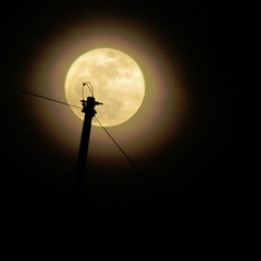 Brillas -León Larregui