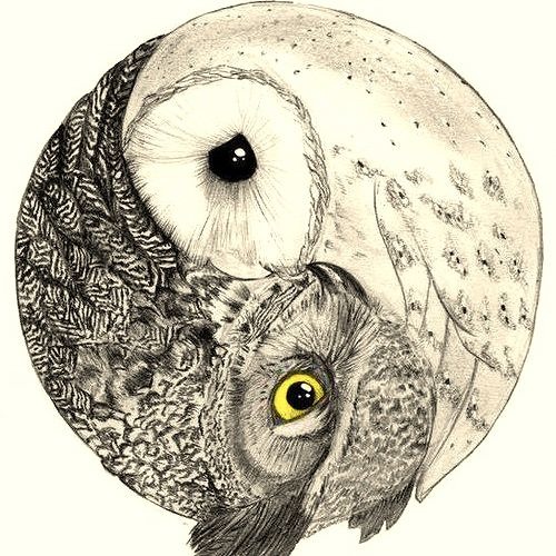 DJ Johnny Blue : Sowlmates