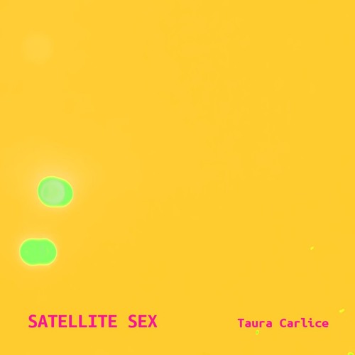 Satellite Sex