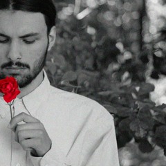 denis - tony tricigy