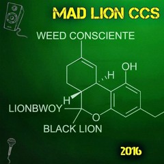 Weed Consciente - LionBwoy x Black Lion