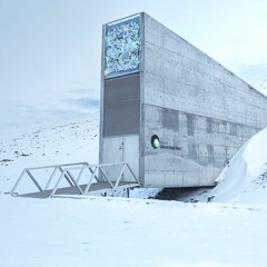 Vault