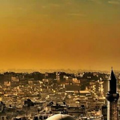 الحب في زمن الكوليرا 43 (حصار حلبي) قلم و صوت أنس محمد كامل الهنداوي