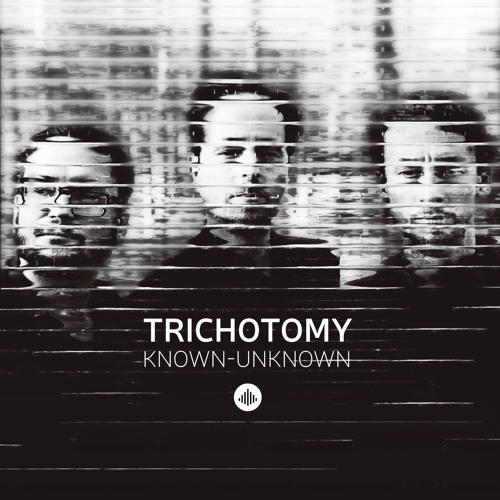 TRICHOTOMY - "Five" - Known-Unknown - new album 2017