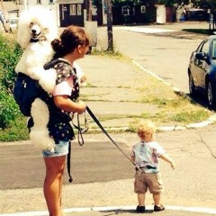 Here Come the Hands (On the Leashes)
