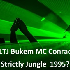 LTJ Bukem MC Conrad - Strictly Jungle (Intelligent Deep DnB) 1994