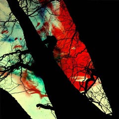 Anne Bonny - Slope Off