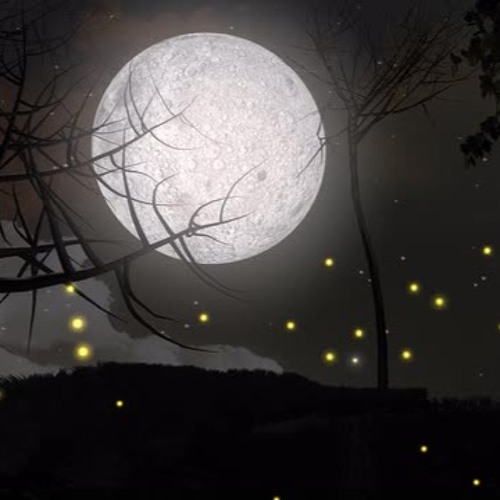 Bipul Chettri - Junkeri