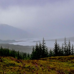 Up in the Murky Downs