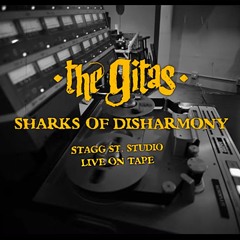 Sharks of disharmony live