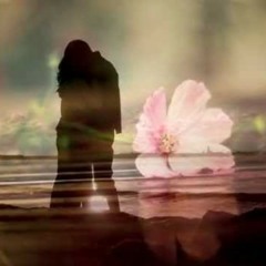 دقات قلب