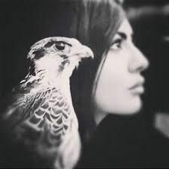 شيلة -  ياعين شيهانه - اداء - محمد غرمان العمري-غزلية- رومنسية