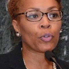 Maya Dillard Smith WLRN extended interview