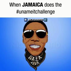 Vybz Kartel - You name it - Nicktorahtid