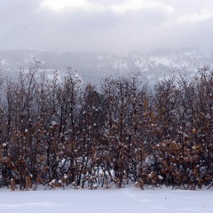 Have Yourself A Merry Little Christmas