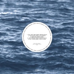 Fall Into Time (Prod. By Dream Koala) [Video in description]