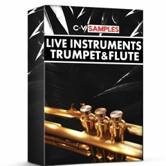 Live Instruments Vol.1 (Trumpet & Flute) \ ONLY $4.95
