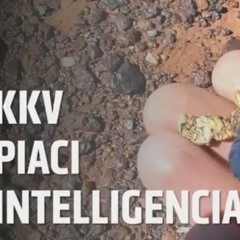 A Piackutatás új alapjai| MM 11