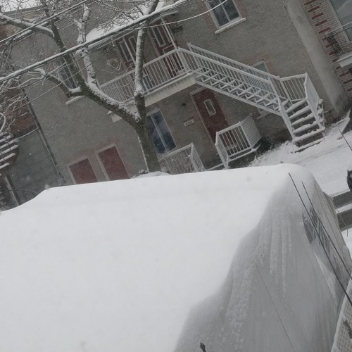 Shash'U - NEIGE (Interlude)