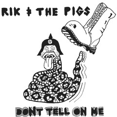 punk fuckz