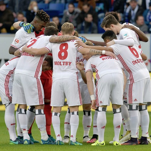 Hsv Tsg Hoffenheim Hsv Tsg Hoffenheim