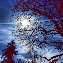 بالقران اهتديت