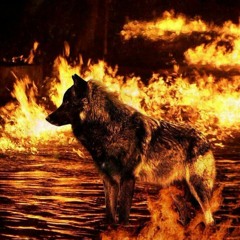 WolfRhymes - The Wrath of Vengeance is upon Mankind