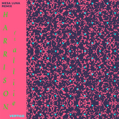 Harrison ft. a l l i e - Vertigo (Mesa Luna remix)