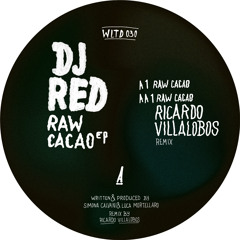 Premiere: DJ Red 'Raw Cacao' (Ricardo Villalobos remix)