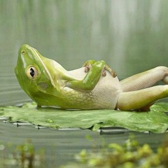 Trashbat - Relaxation Techniques