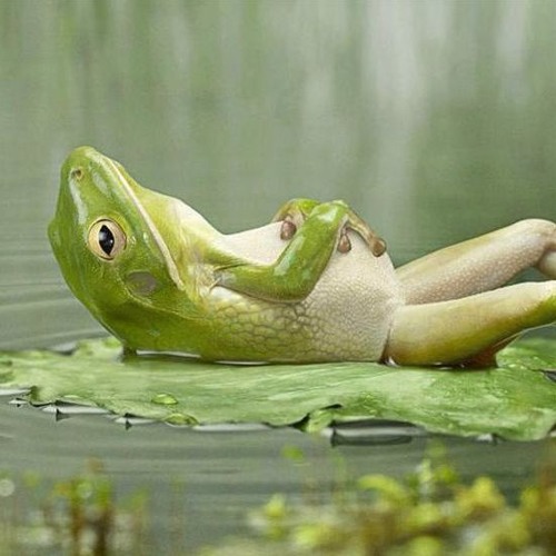 Trashbat - Relaxation Techniques