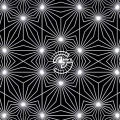 Miss Shiva - Signal Flow Moods # 005 @ Cosmos-Radio.com 11/2016