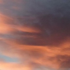 Fish Center Live .·´¯`·.´¯`·.¸¸.·´¯`·.¸><(((º>