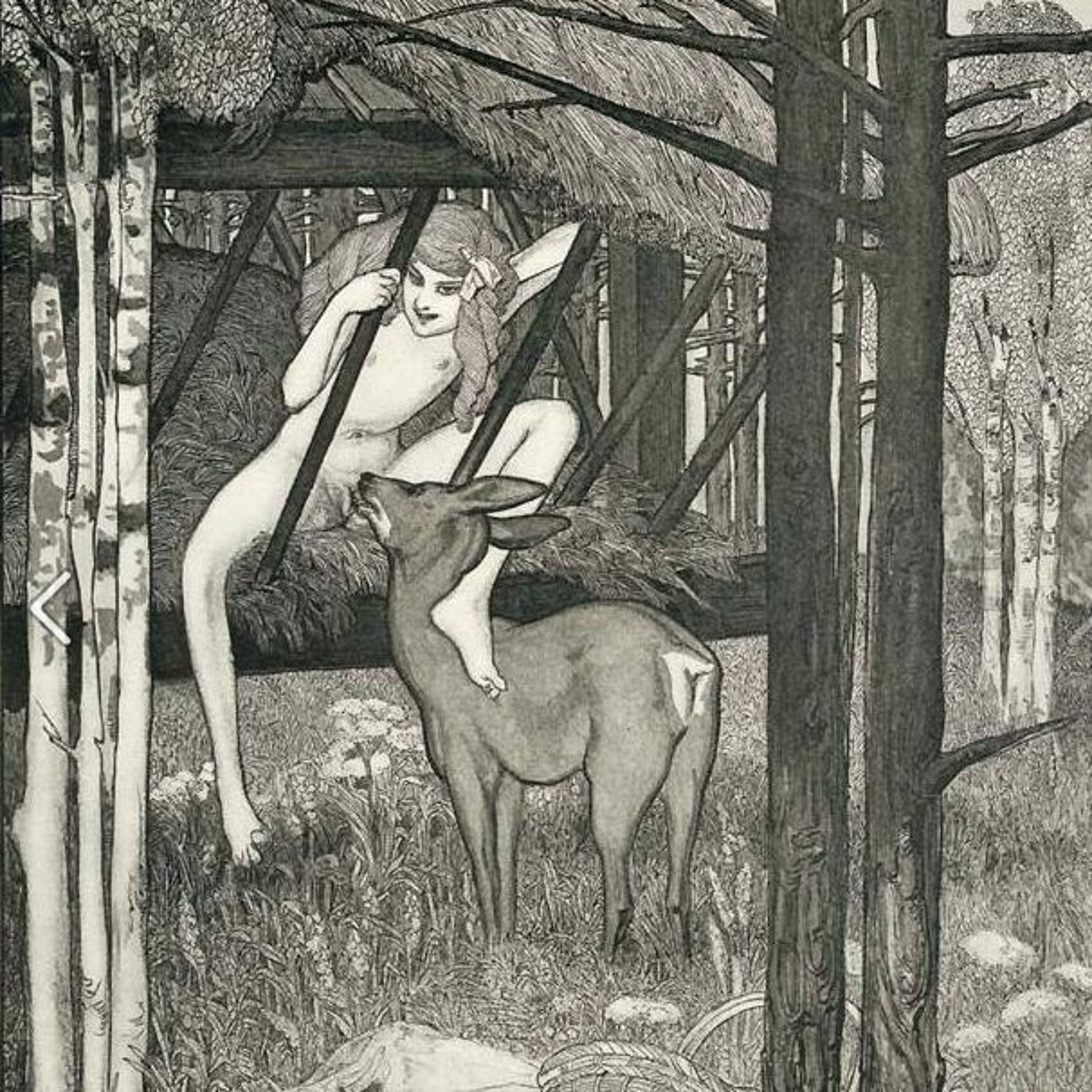 Psylocida