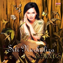 Cover Siti Nurhaliza - Bukan Cinta Biasa