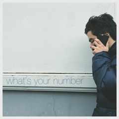 What's Your Number