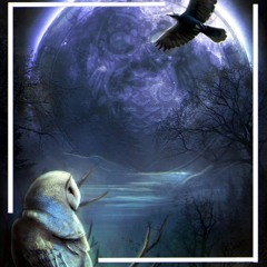 Owl & Vincent Valentine - the Owl and the Raven (prod. JukeboxJoints)