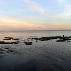 Riberas De Anchorena.