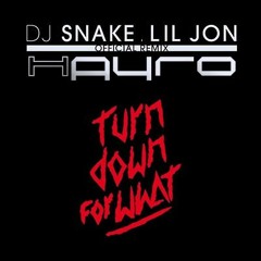 Turn Down For What DJ- Snake Vs. Bring em Out T.I. (DJ-Hayro Remix)